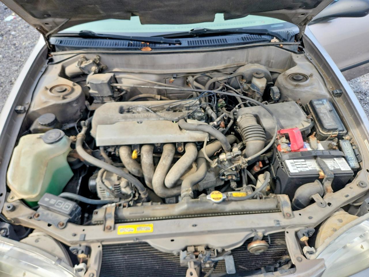 1999 TOYOTA COROLLA