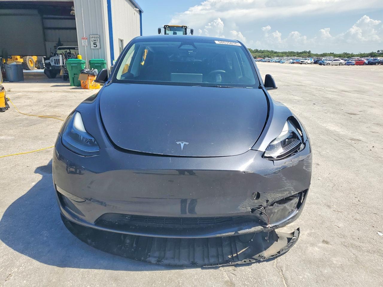 2024 TESLA MODEL Y