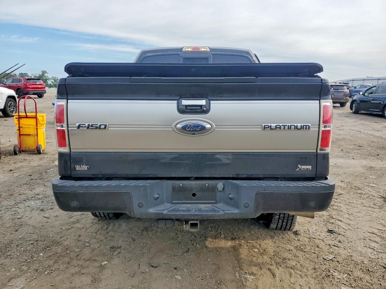 2010 FORD F150