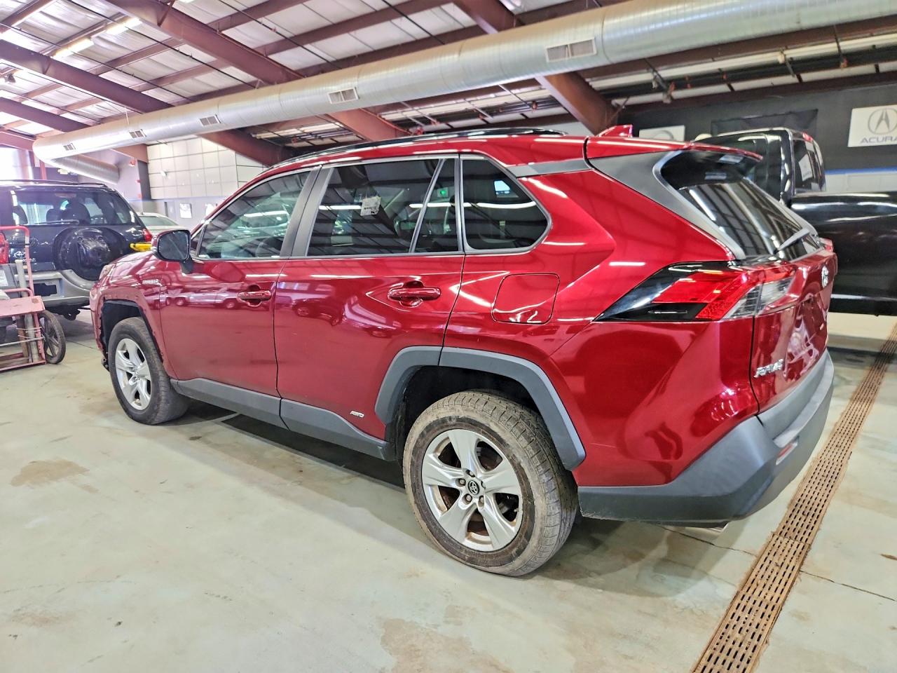 2019 TOYOTA RAV4