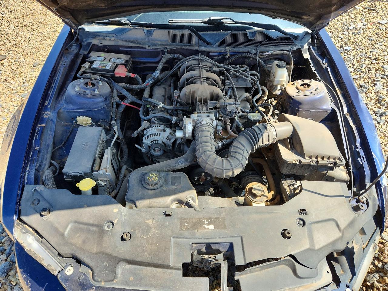 2010 FORD MUSTANG