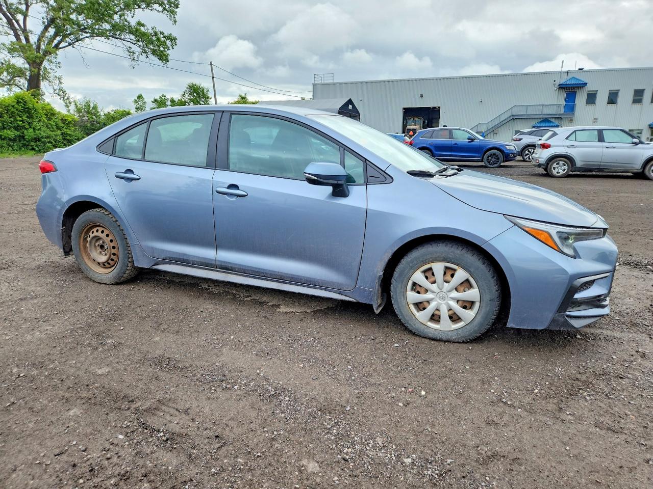 2024 TOYOTA COROLLA