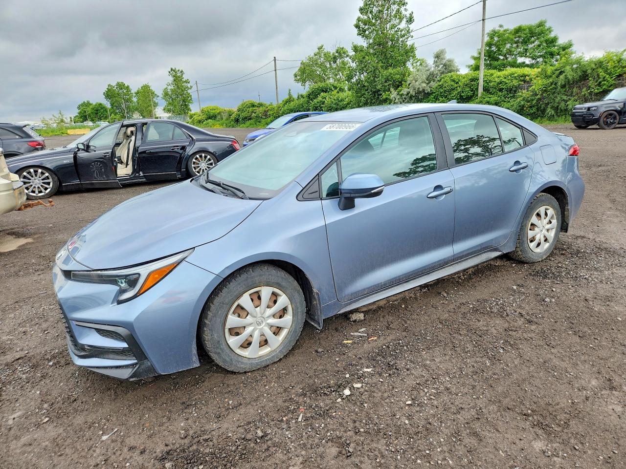 2024 TOYOTA COROLLA