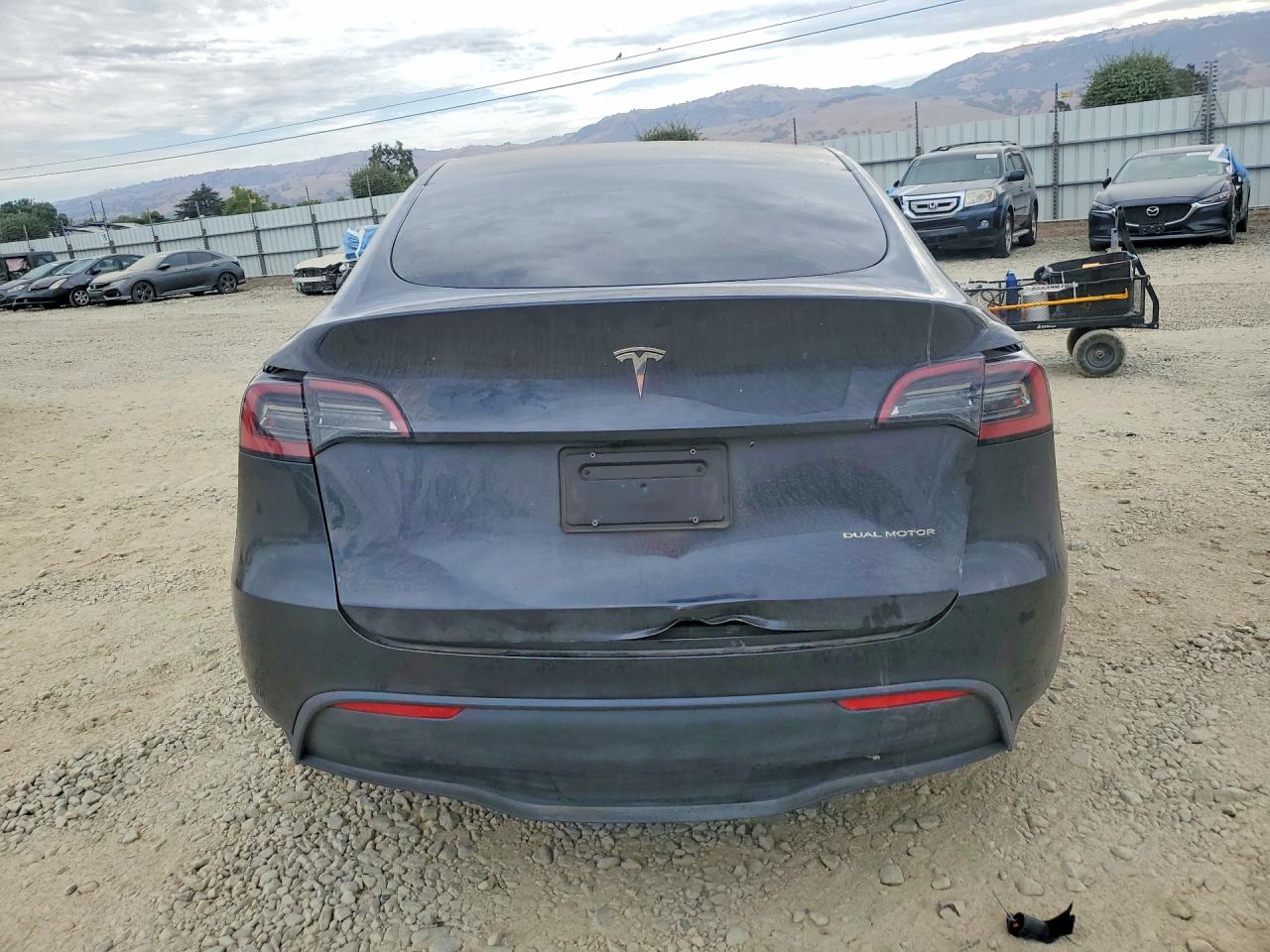 2024 TESLA MODEL Y