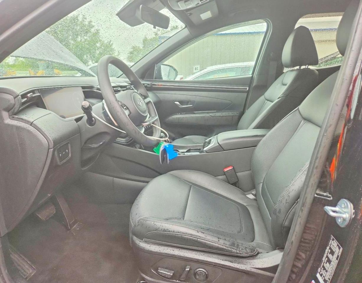2024 HYUNDAI SANTA CRUZ
