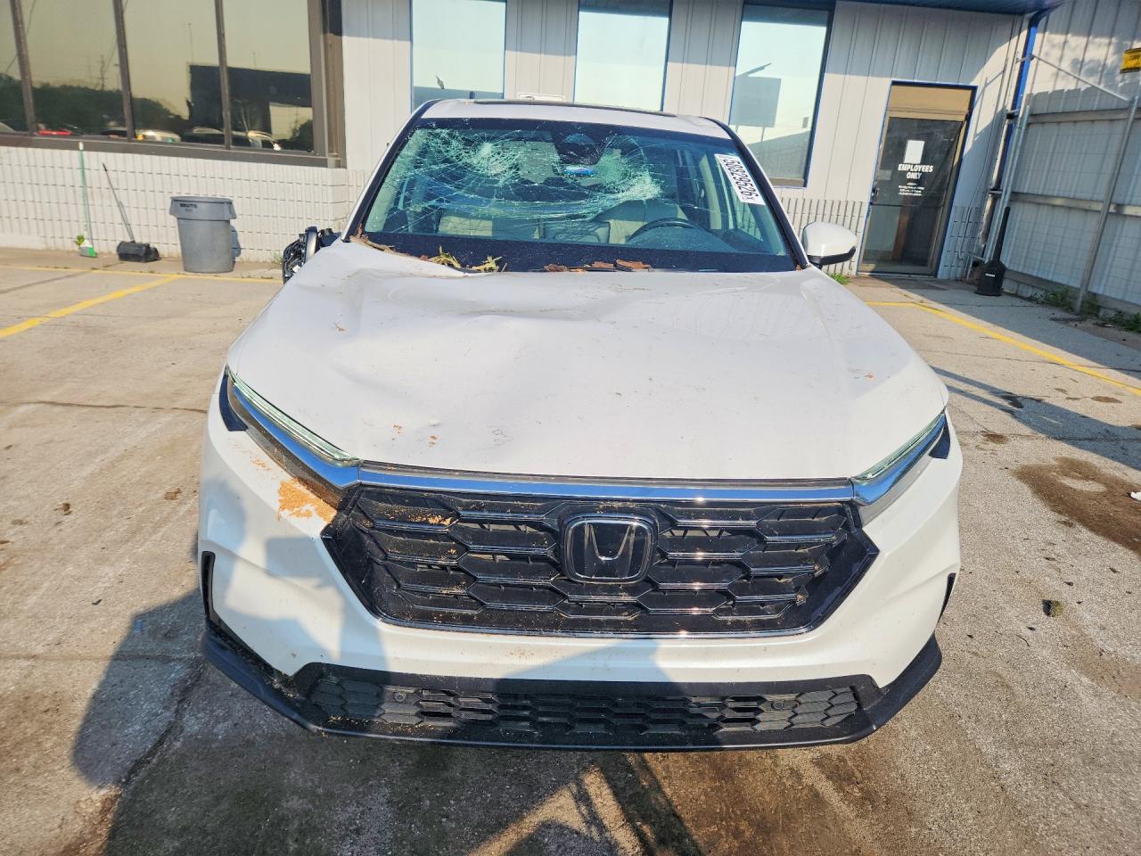 2023 HONDA CRV