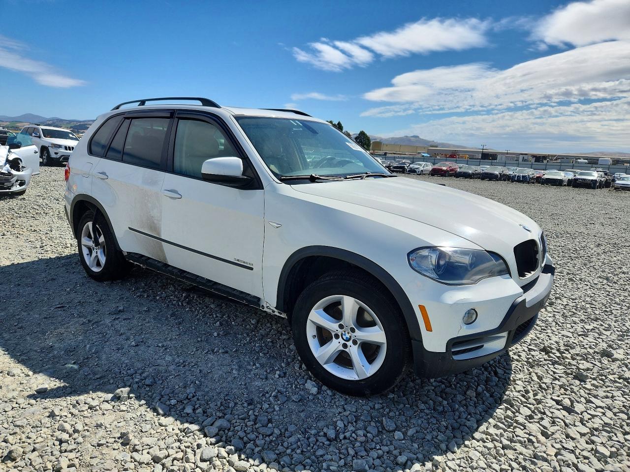 2010 BMW X5
