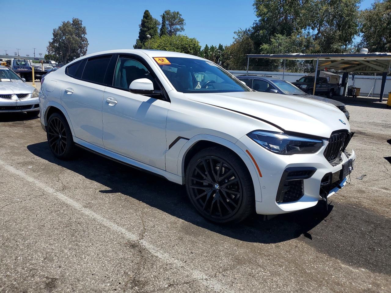 2023 BMW X6