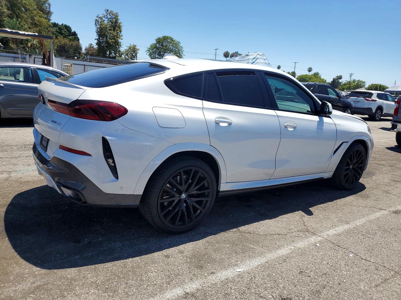 2023 BMW X6