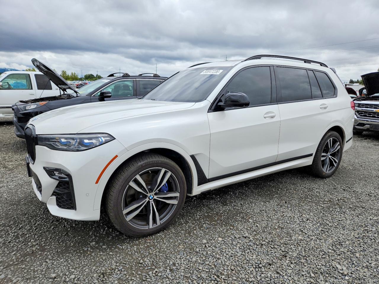 2019 BMW X7