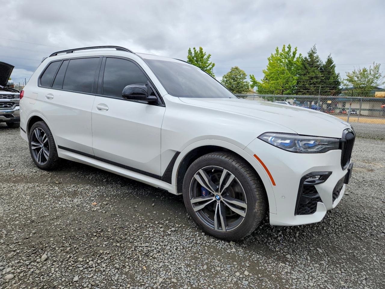2019 BMW X7