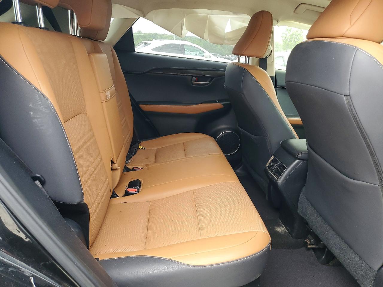 2019 LEXUS NX