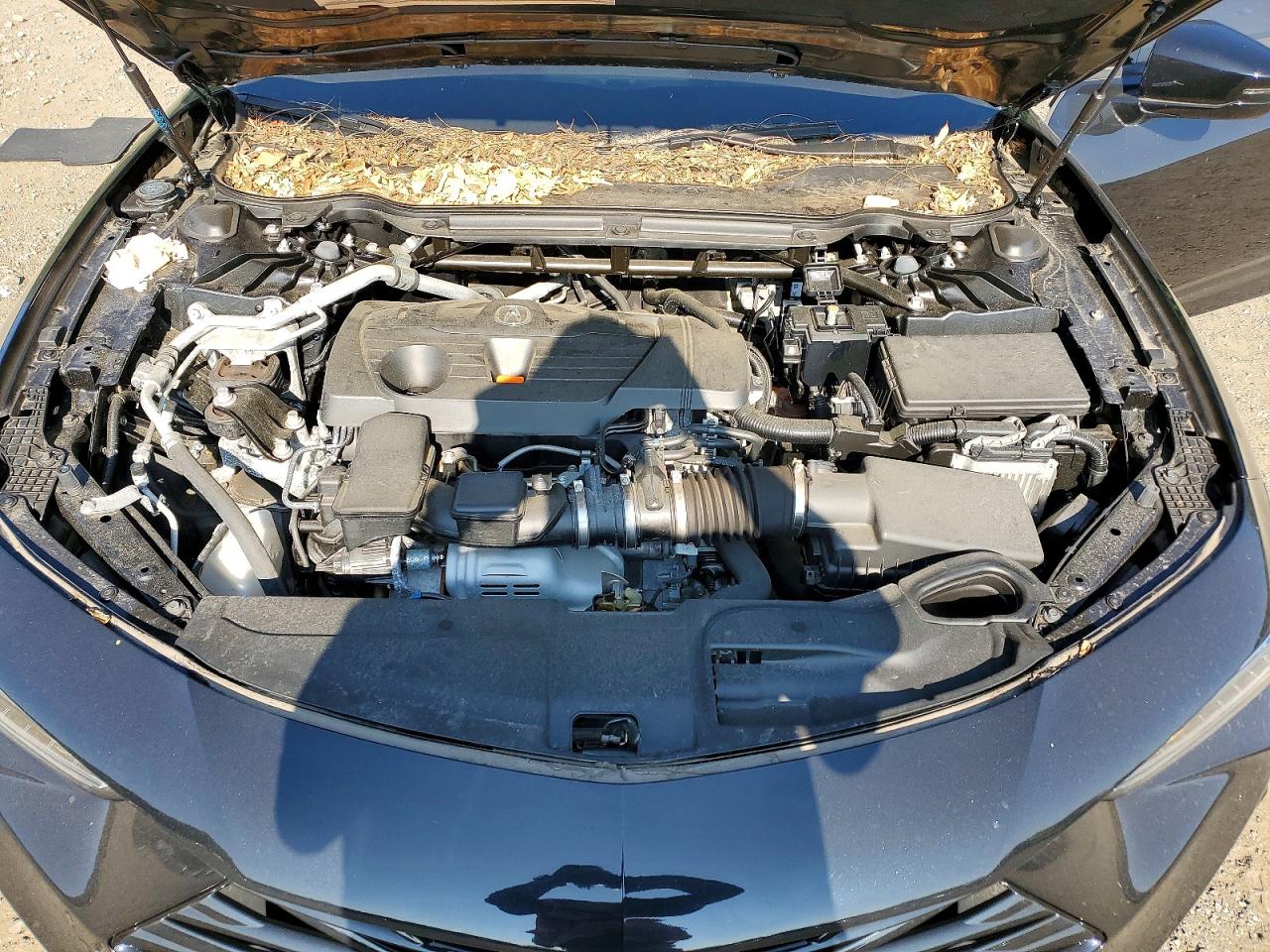 2024 ACURA TLX