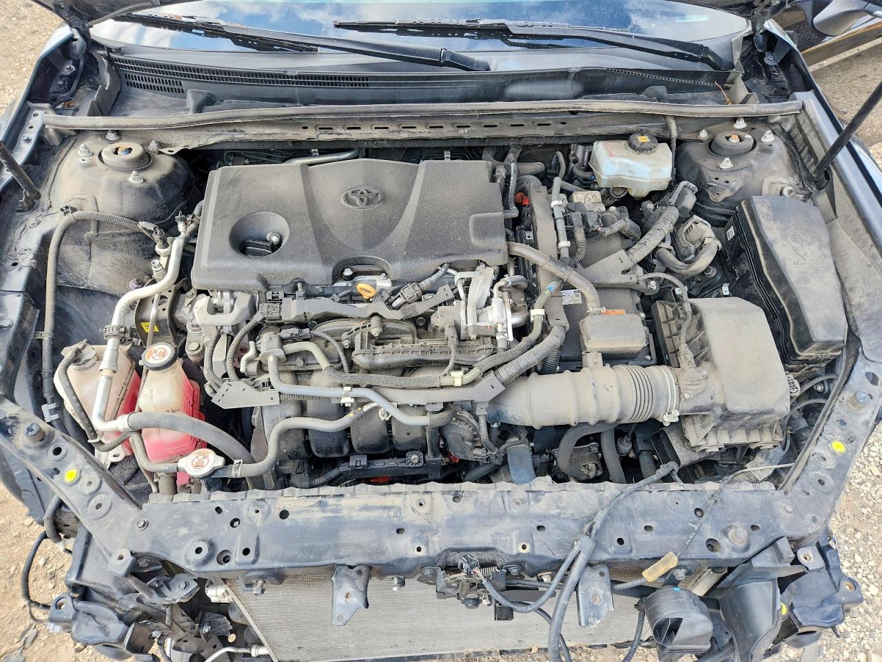2019 TOYOTA CAMRY