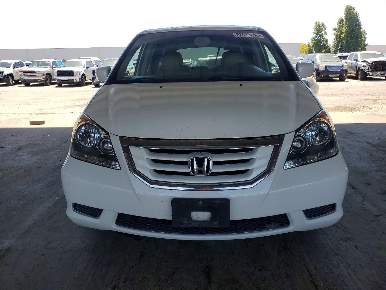 2009 HONDA All Models