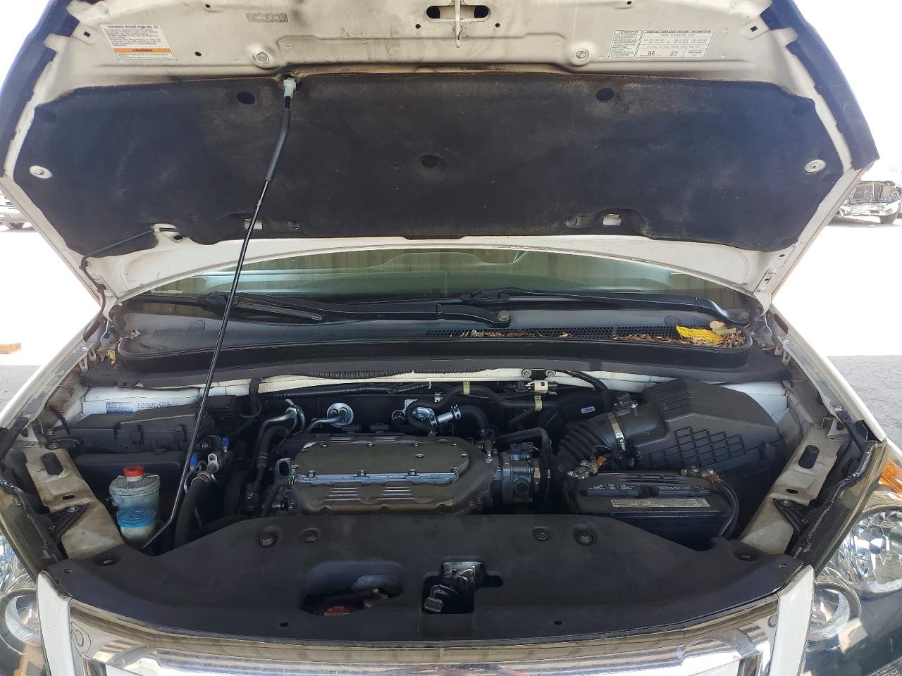 2009 HONDA All Models