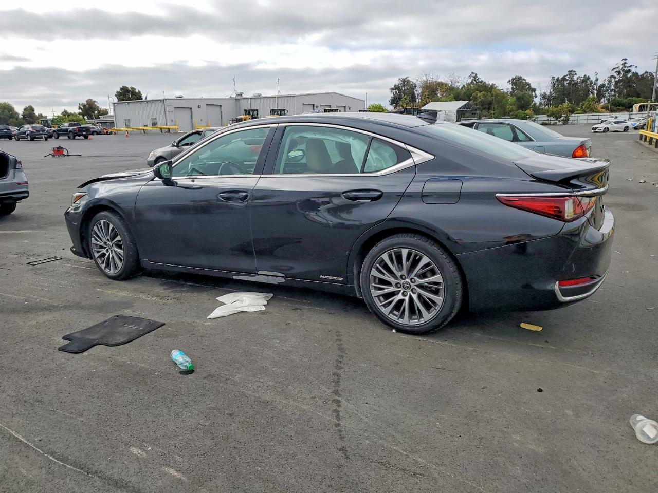 2019 LEXUS ES300