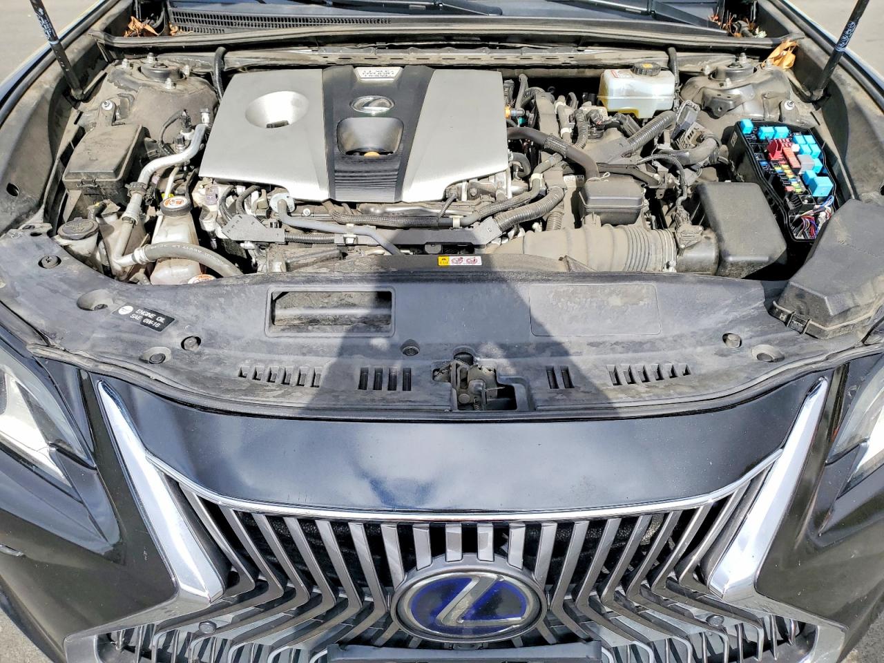 2019 LEXUS ES300