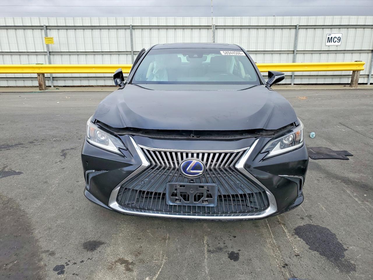 2019 LEXUS ES300