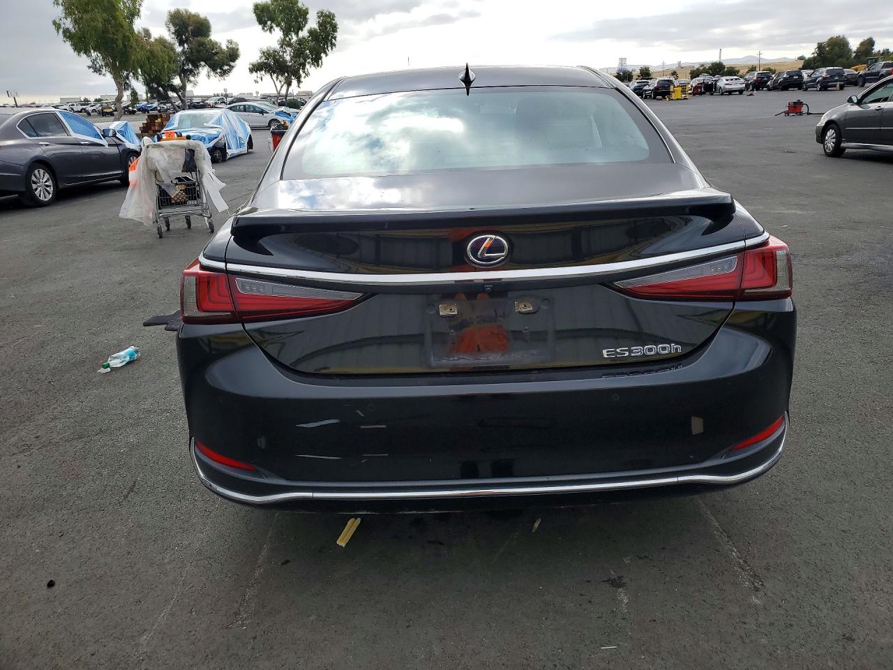 2019 LEXUS ES300