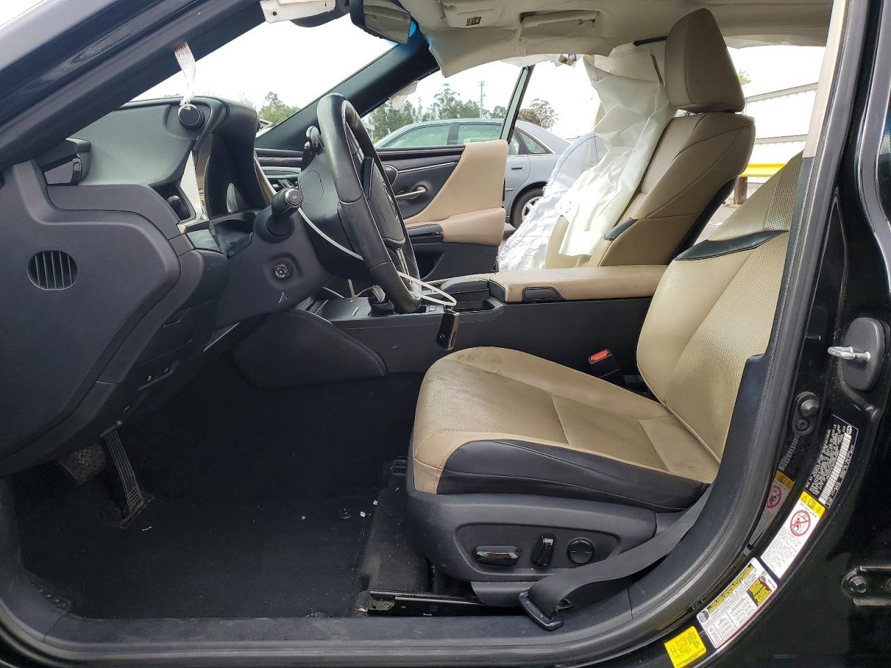 2019 LEXUS ES300