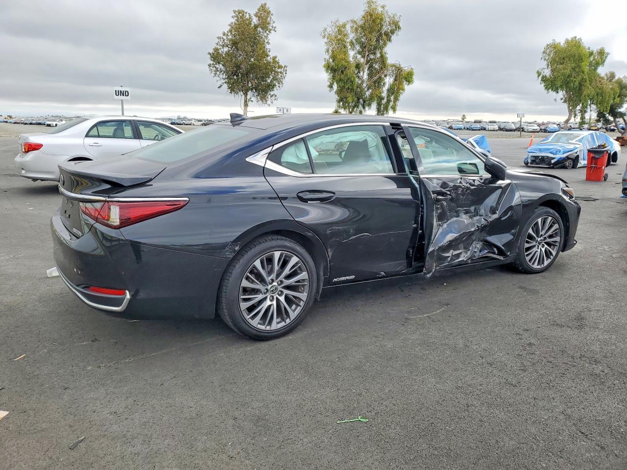 2019 LEXUS ES300