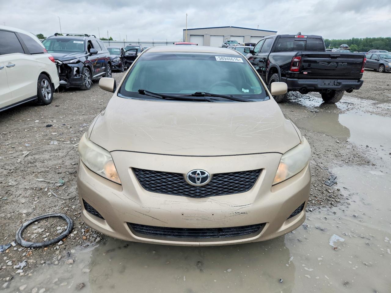 2010 TOYOTA COROLLA