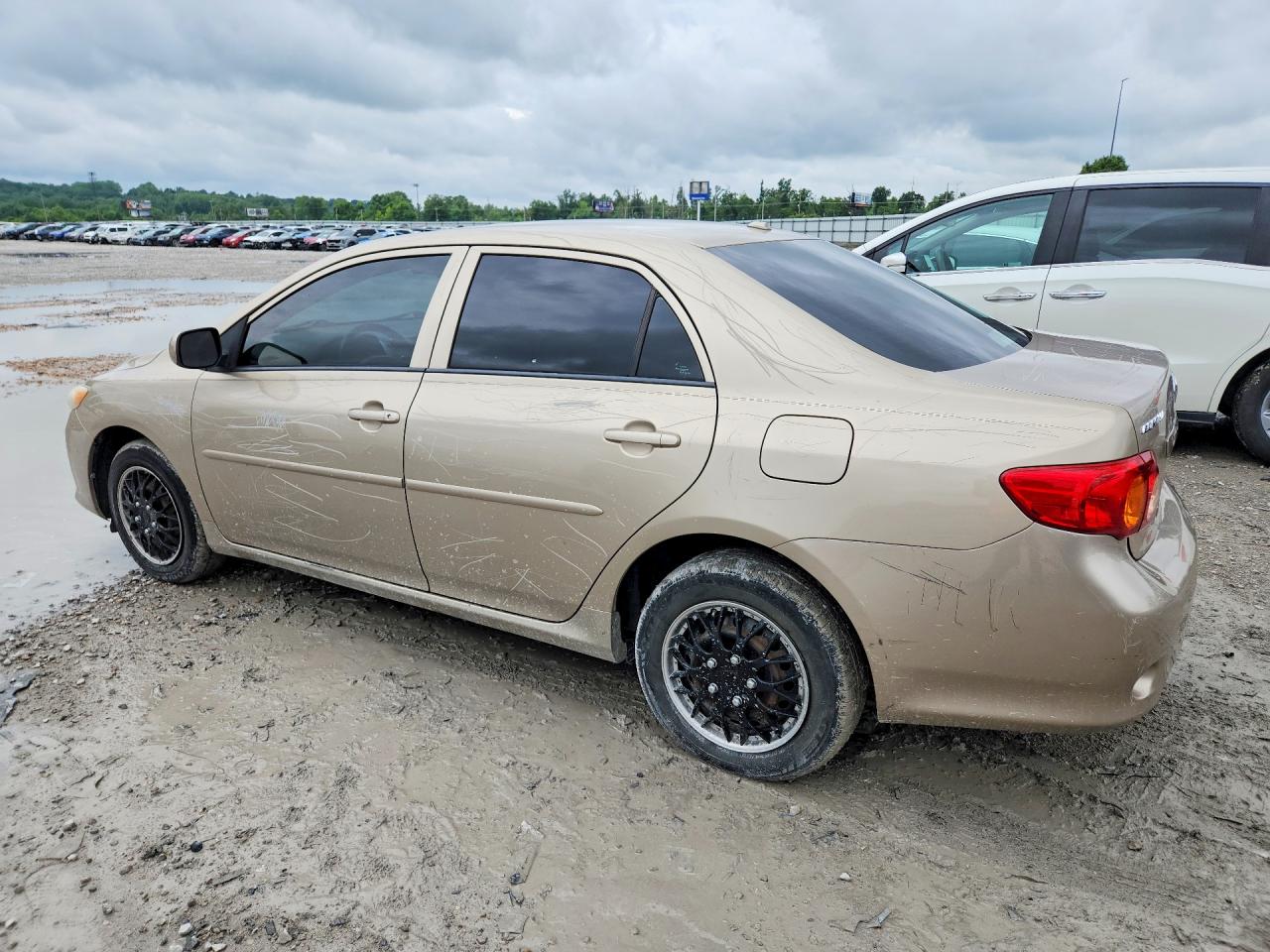 2010 TOYOTA COROLLA