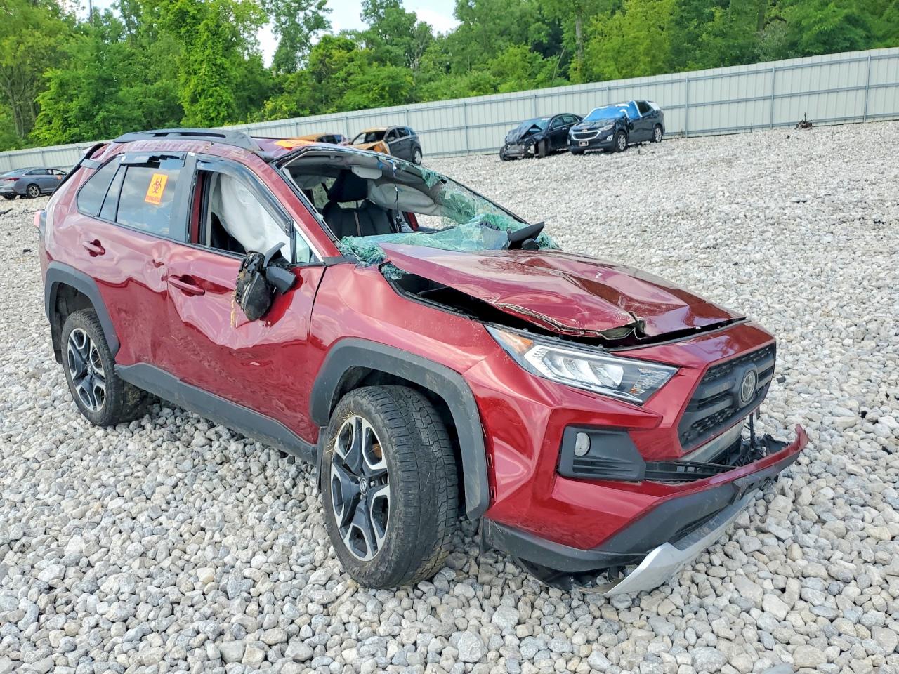 2019 TOYOTA RAV4