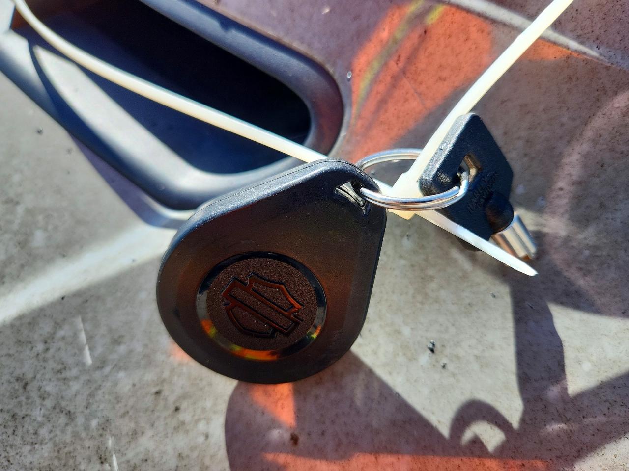 2024 HARLEY-DAVIDSON FL