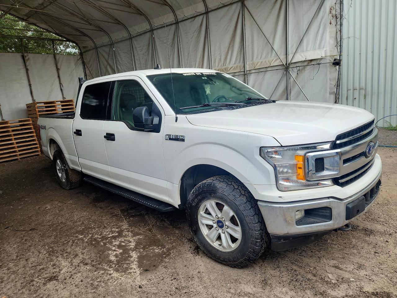 2019 FORD F150