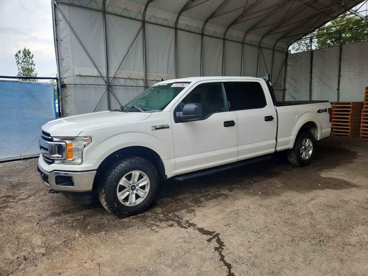 2019 FORD F150