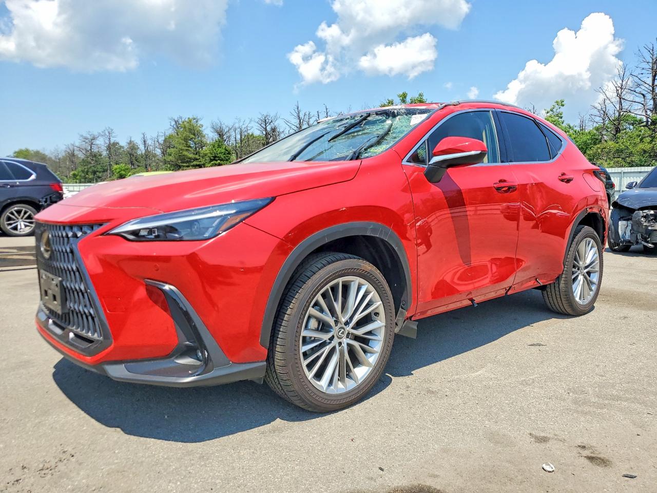 2025 LEXUS NX