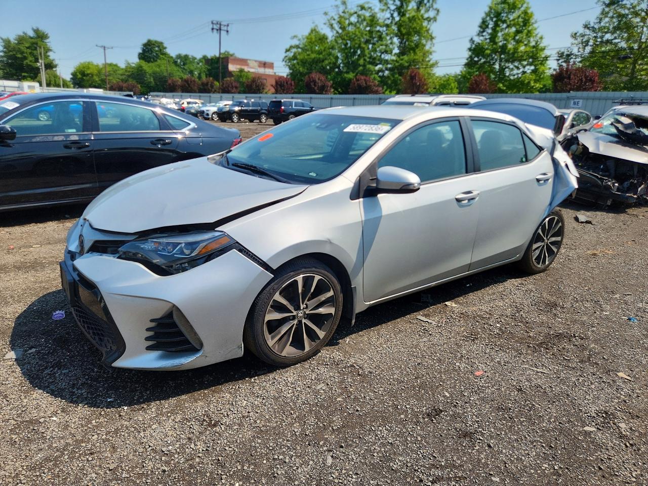 2019 TOYOTA COROLLA
