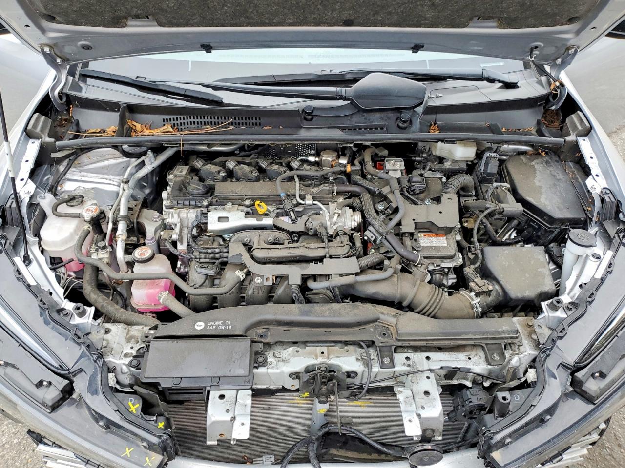 2023 TOYOTA PRIUS
