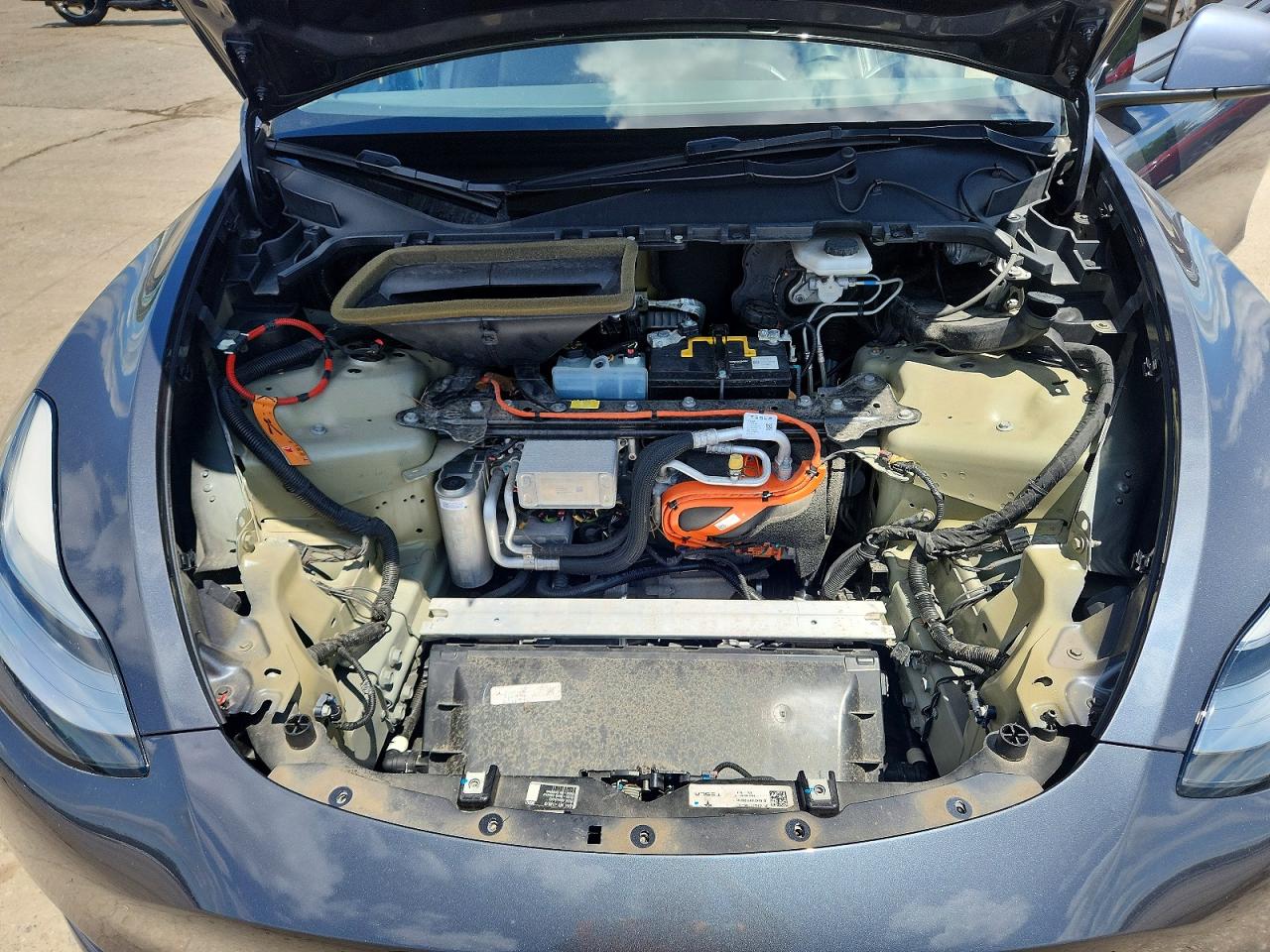 2021 TESLA MODEL Y