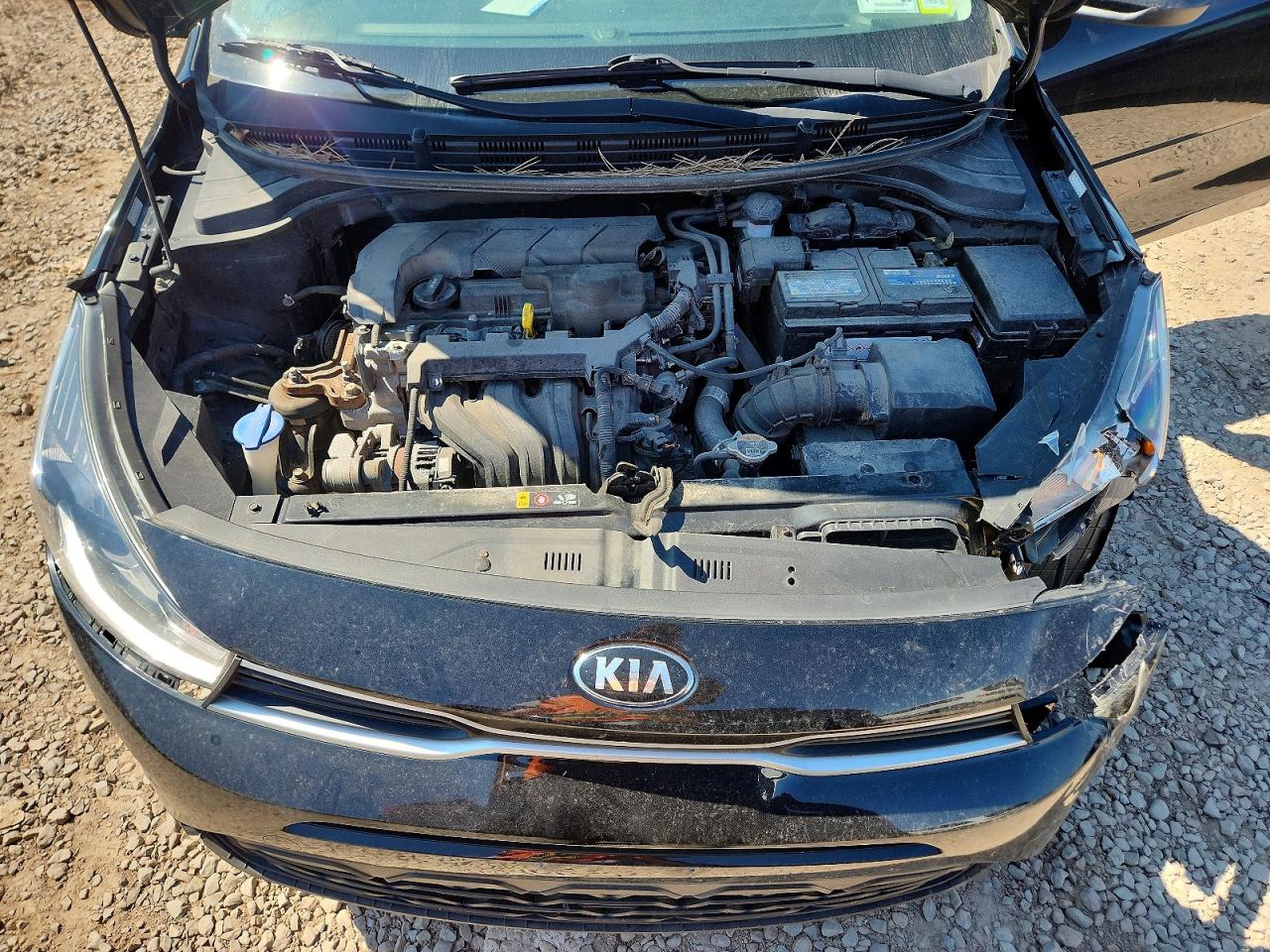 2021 KIA RIO