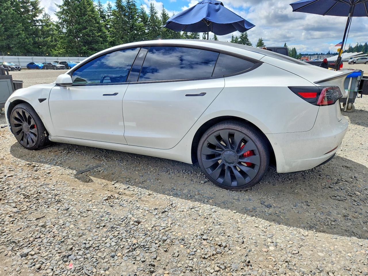 2021 TESLA MODEL 3