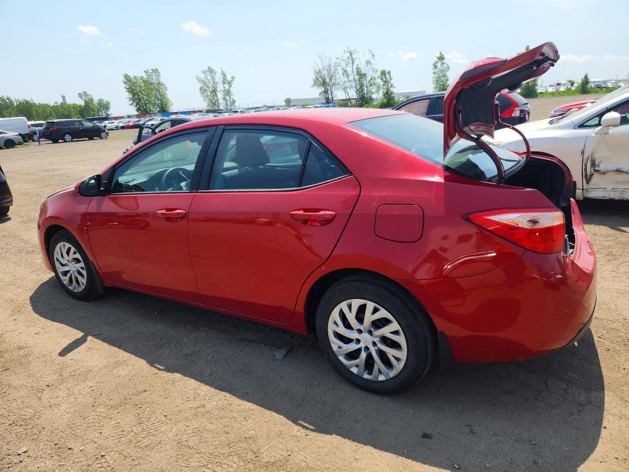 2019 TOYOTA COROLLA