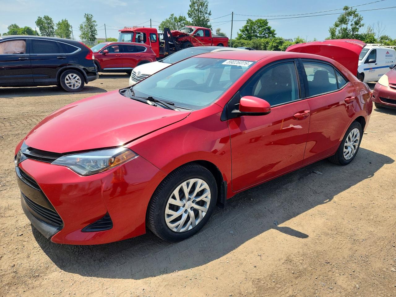 2019 TOYOTA COROLLA