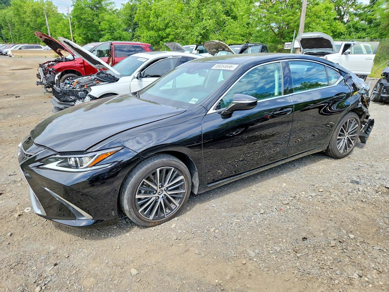 2024 LEXUS ES350