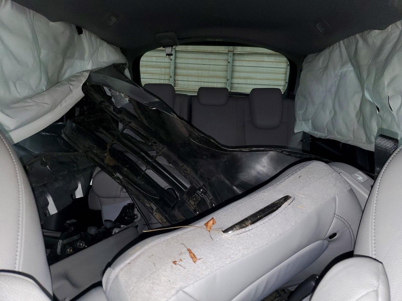 2023 HONDA All Models