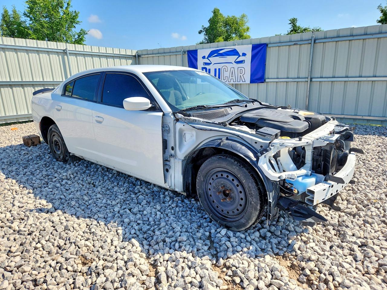 2019 DODGE CHARGER