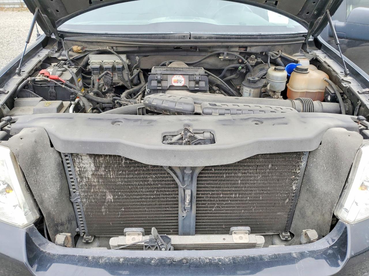 2006 FORD All Models