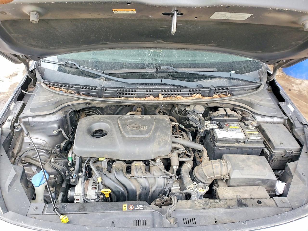2019 KIA RIO