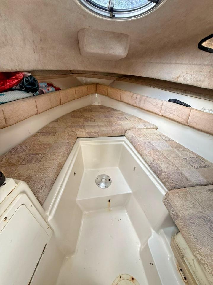 2007 STRIPER