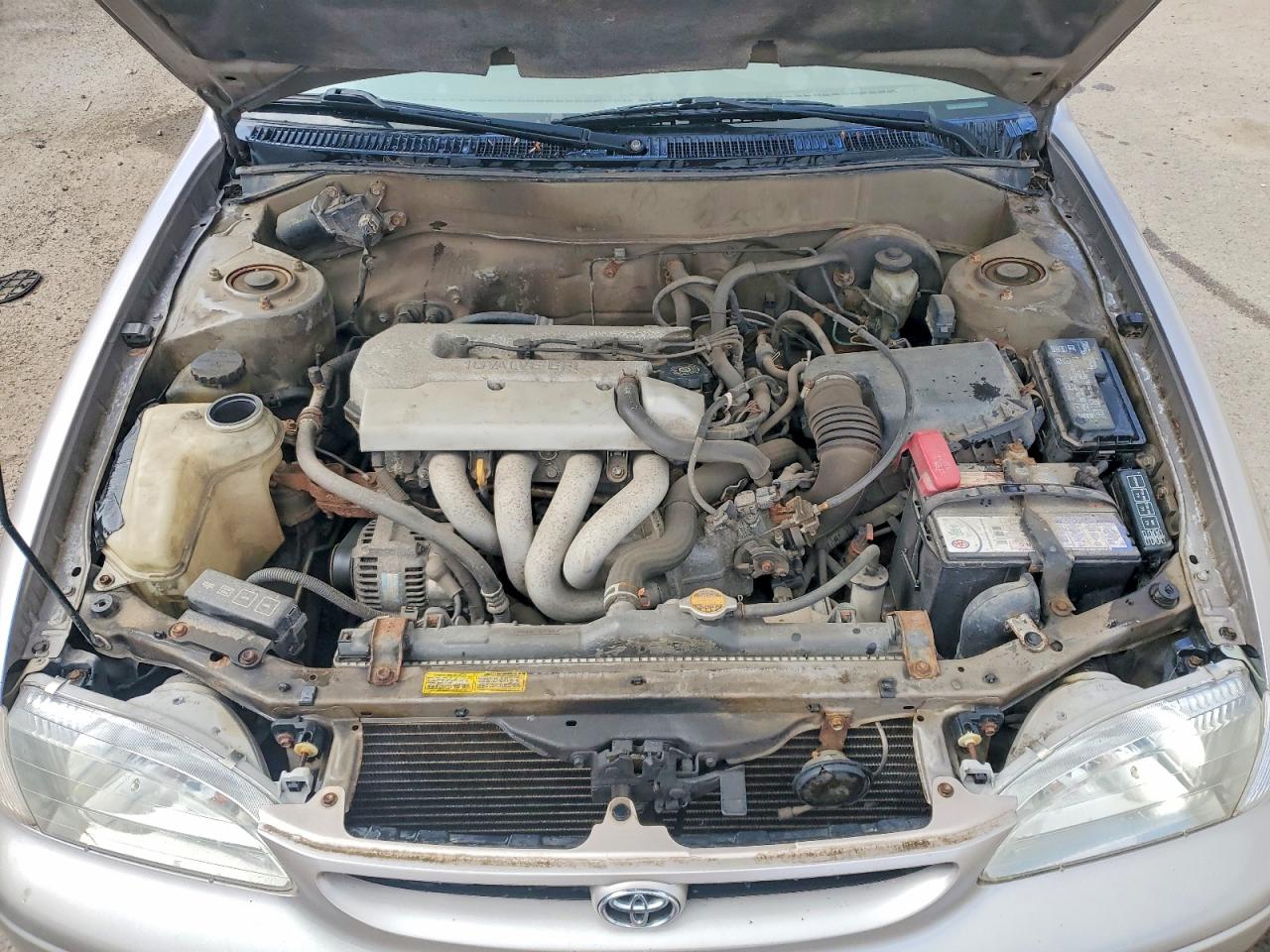 1998 TOYOTA COROLLA
