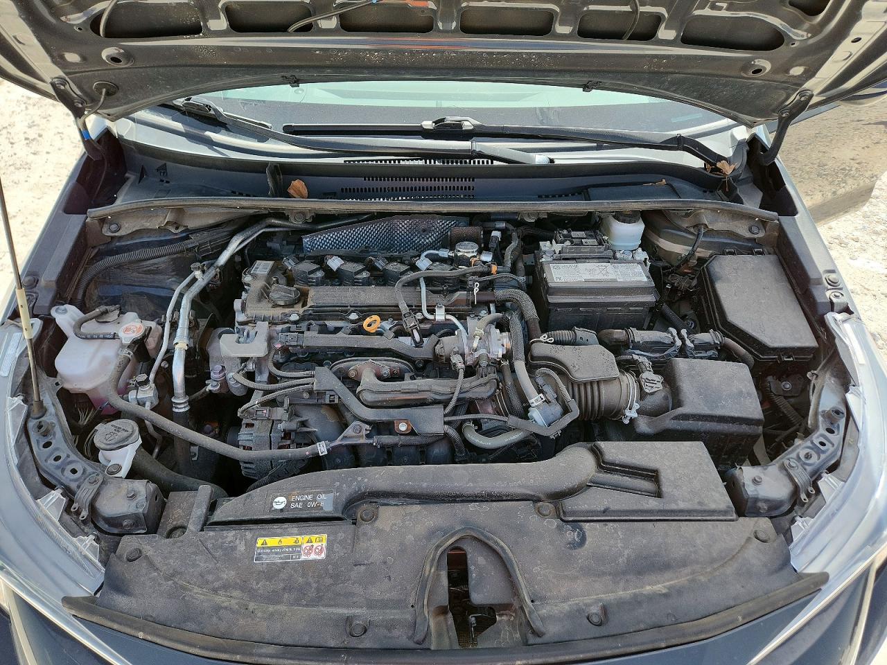 2024 TOYOTA COROLLA