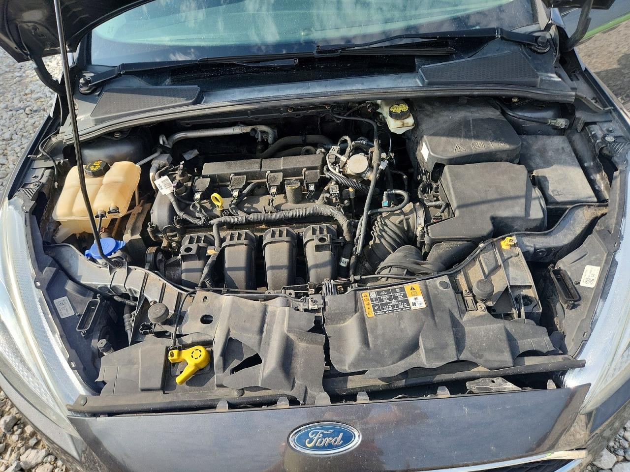 2017 FORD FOCUS