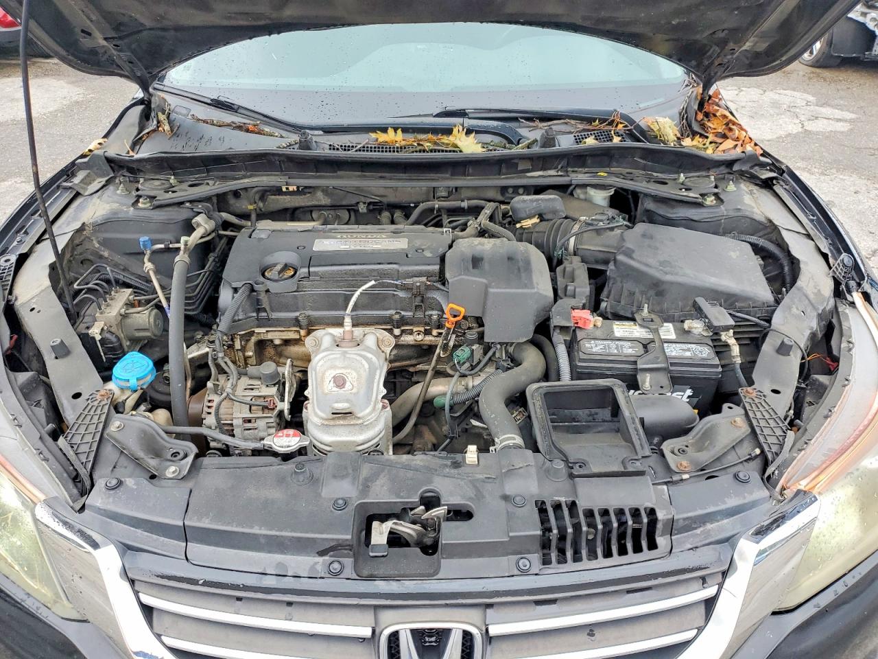 2013 HONDA ACCORD
